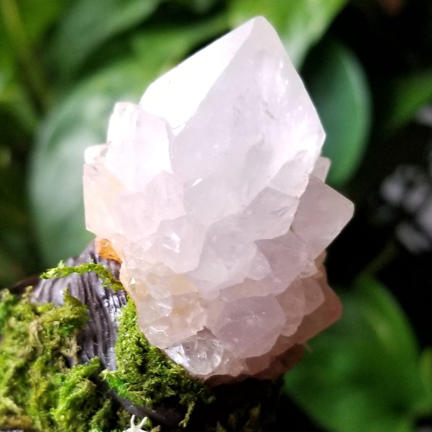 Elemental Luna Incense Burner with Spirit Quartz and Labradorite