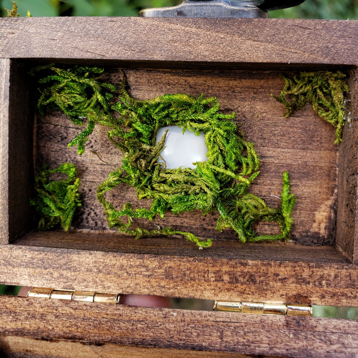 Pentacle Hidden Gem Altar Box