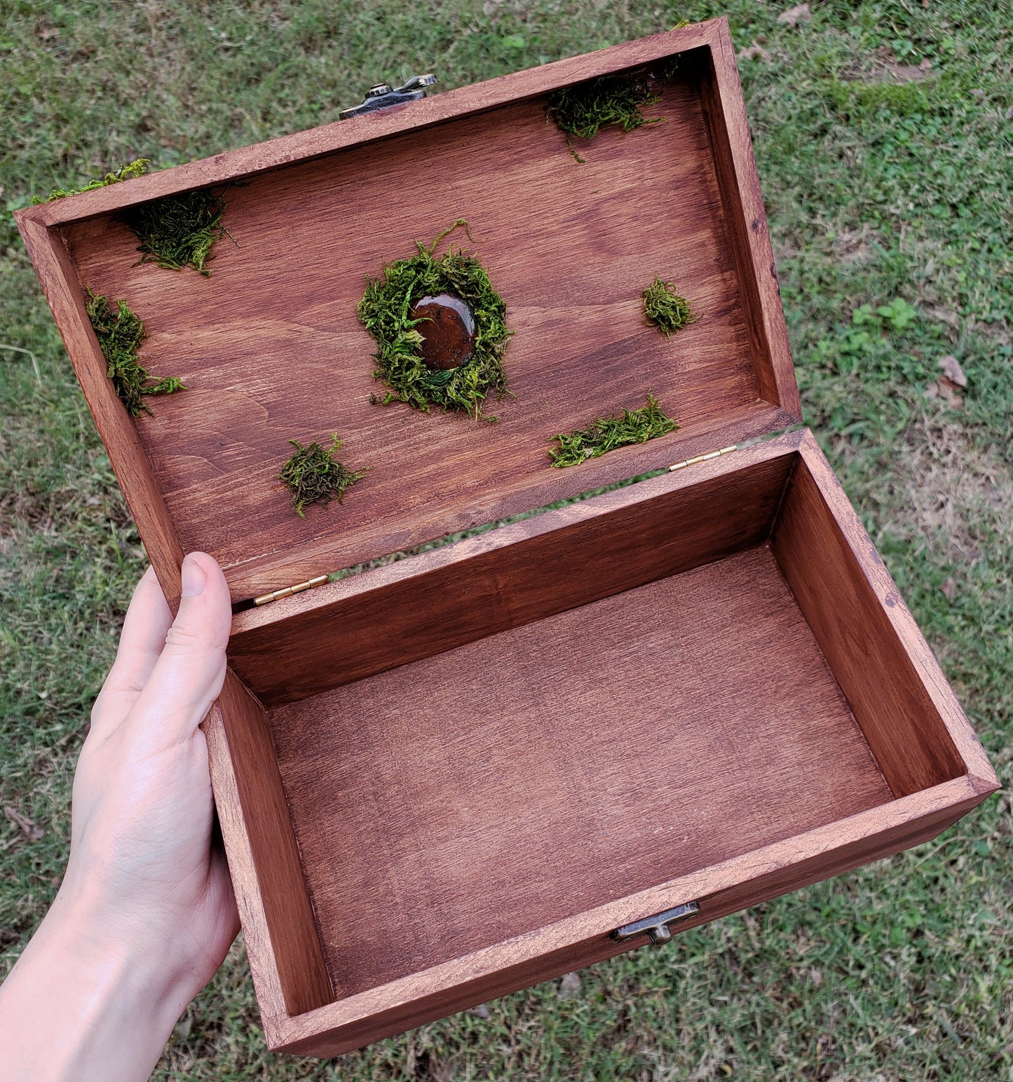 Comet Moth Hidden Gem Box