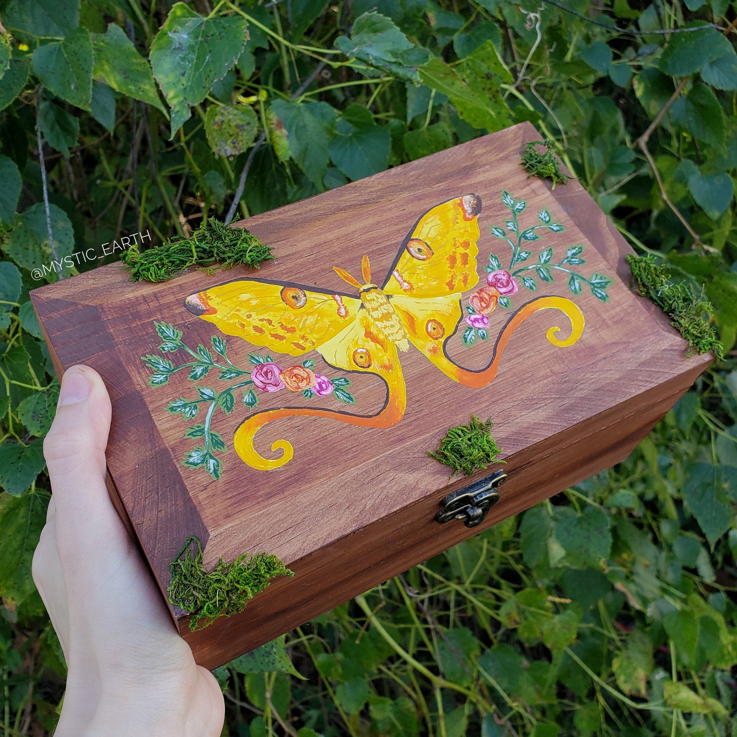 Comet Moth Hidden Gem Box