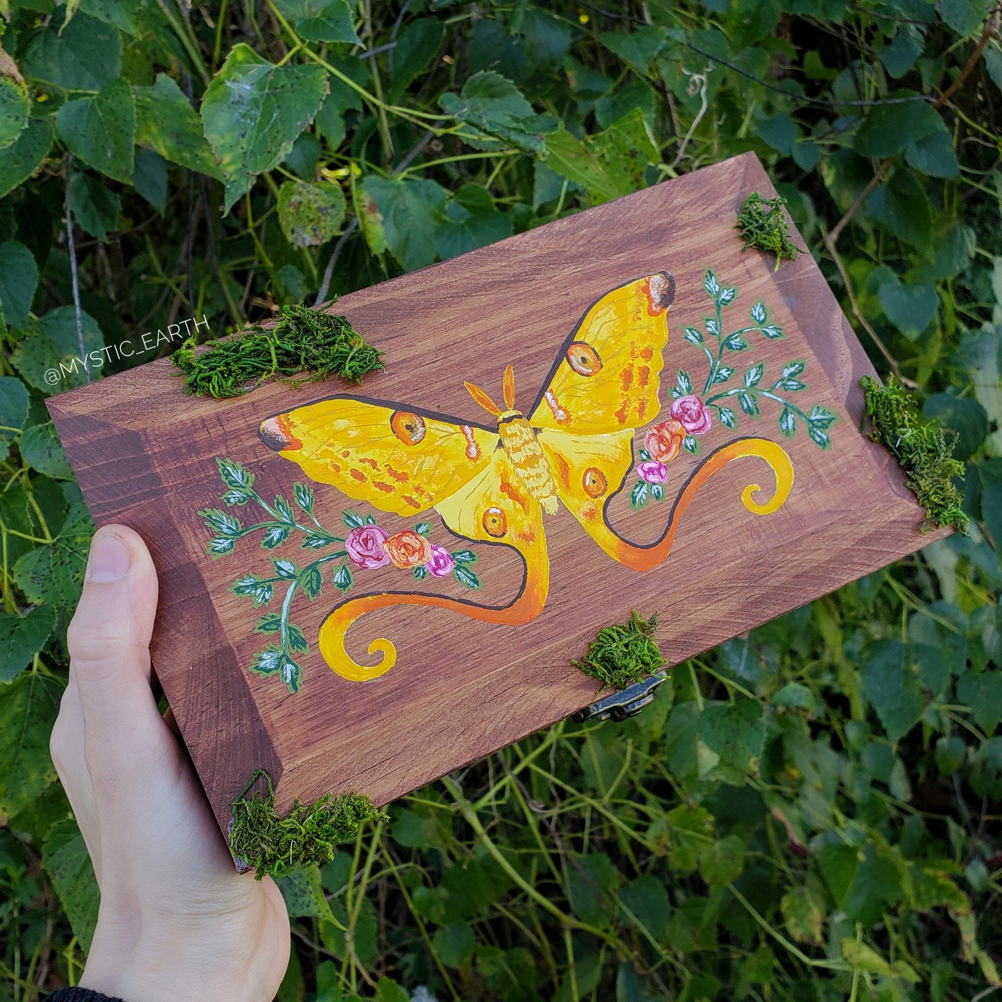 Comet Moth Hidden Gem Box