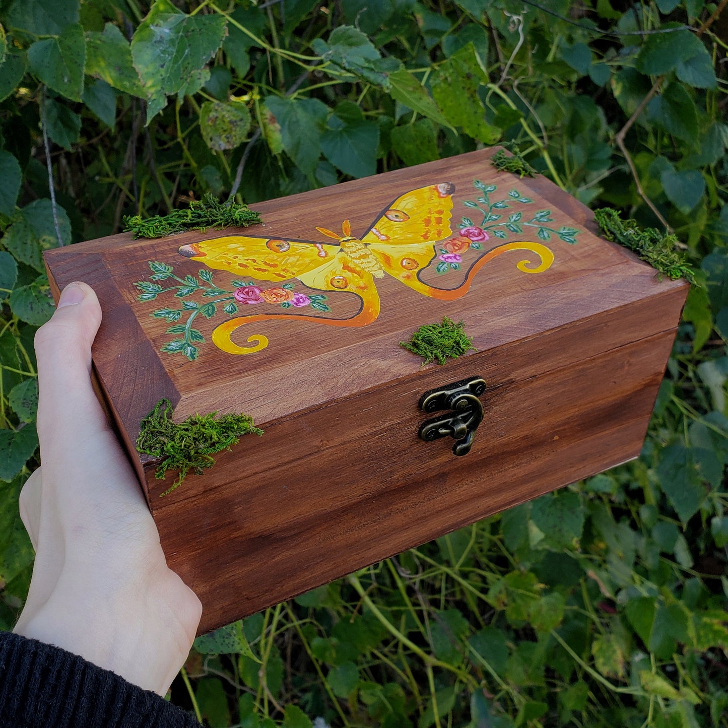 Comet Moth Hidden Gem Box