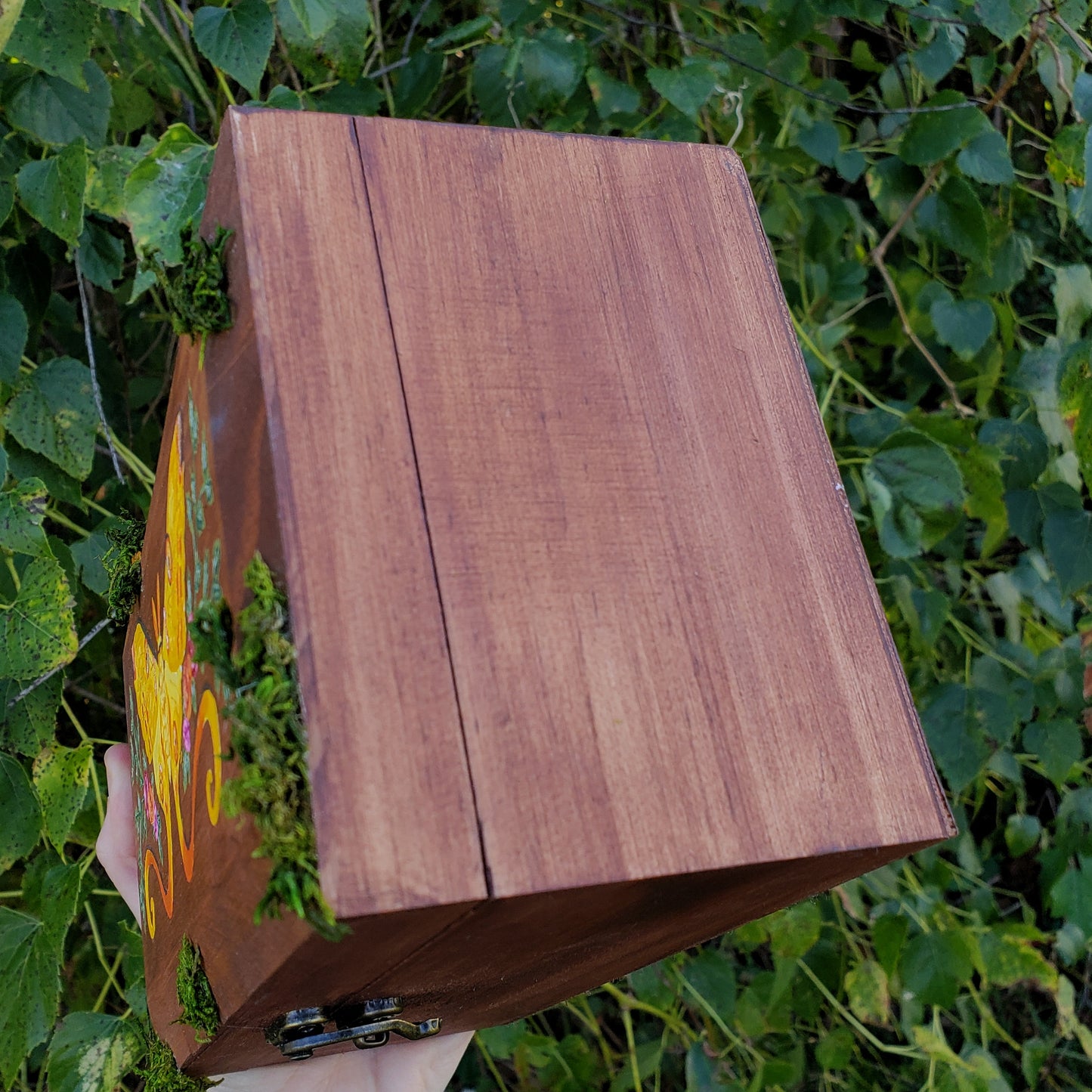 Comet Moth Hidden Gem Box
