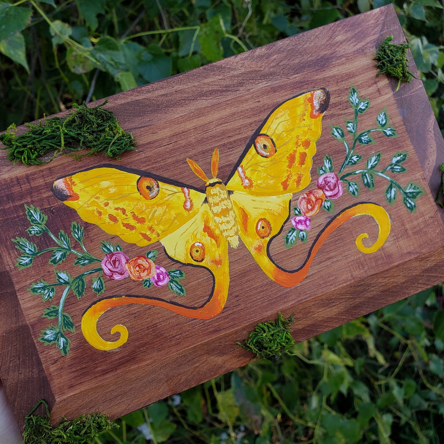 Comet Moth Hidden Gem Box
