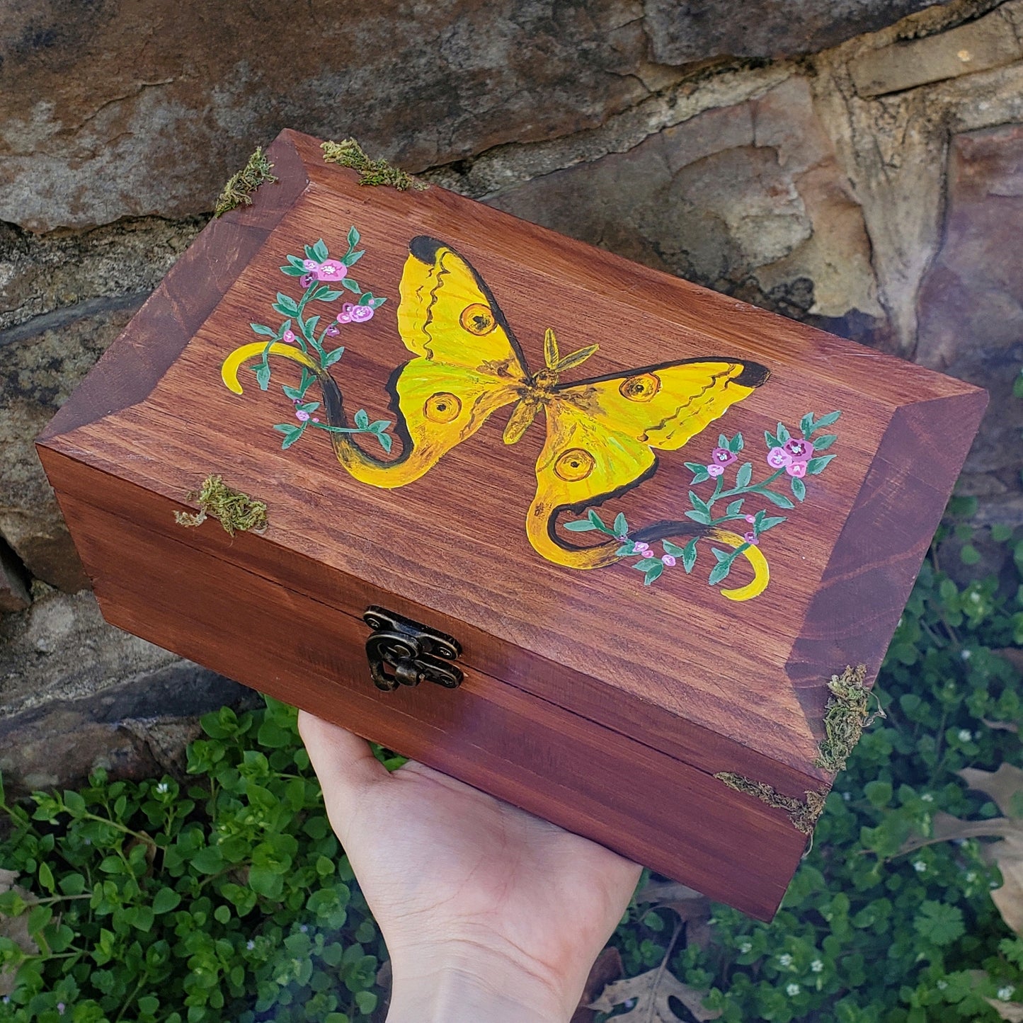 Comet Moth Box
