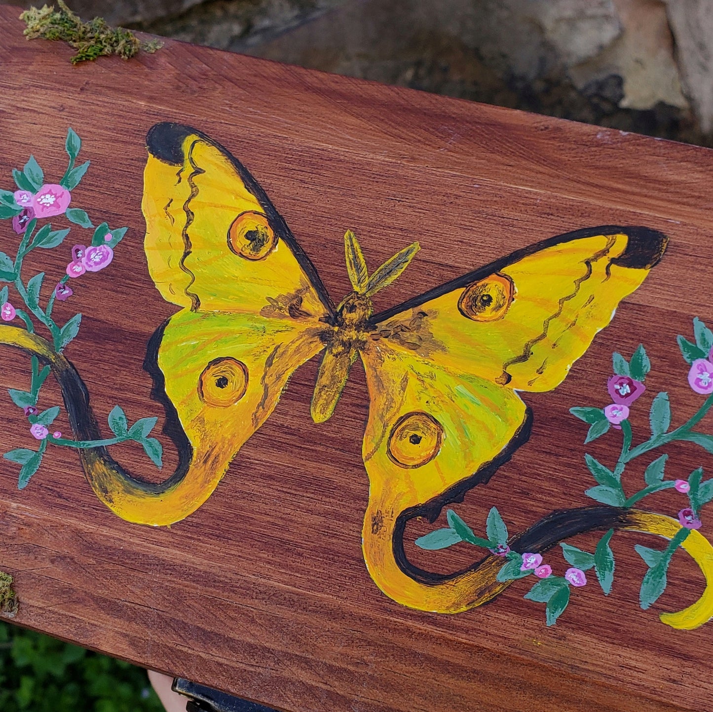 Comet Moth Box