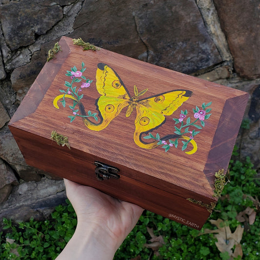 Comet Moth Box