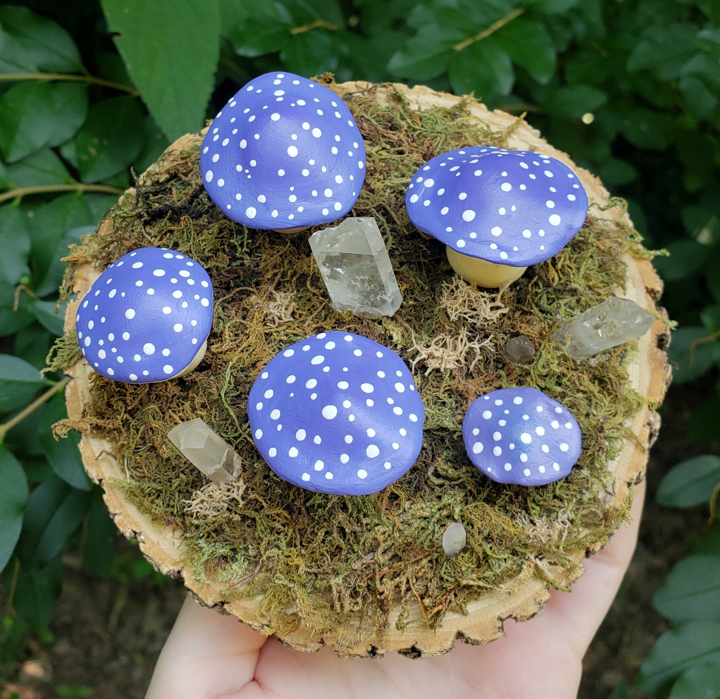 Dark Purple Mushroom Garden | Home Decoration