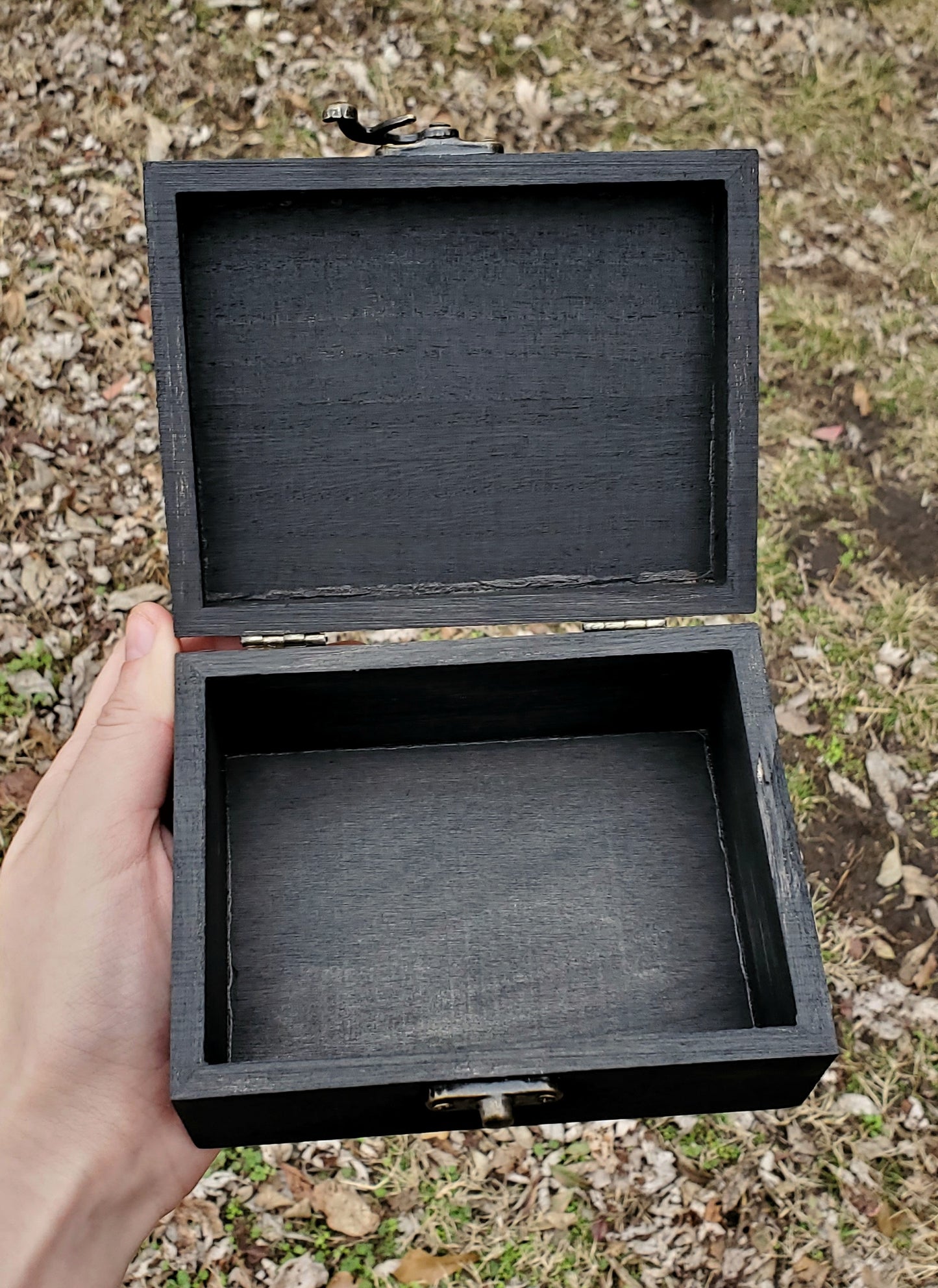 Deaths Head Hawkmoth Box