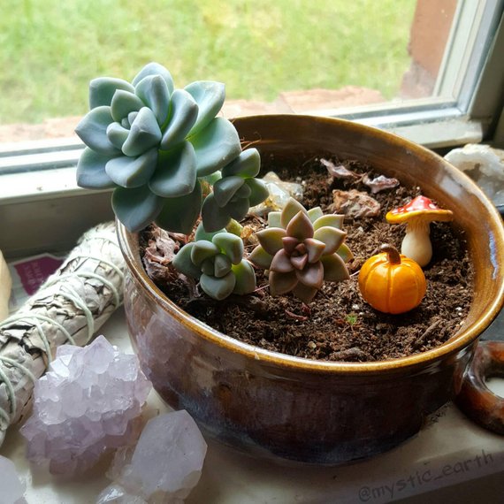 Mini Rainbow Mushroom Fairy Garden Decor - Indoor and Outdoors