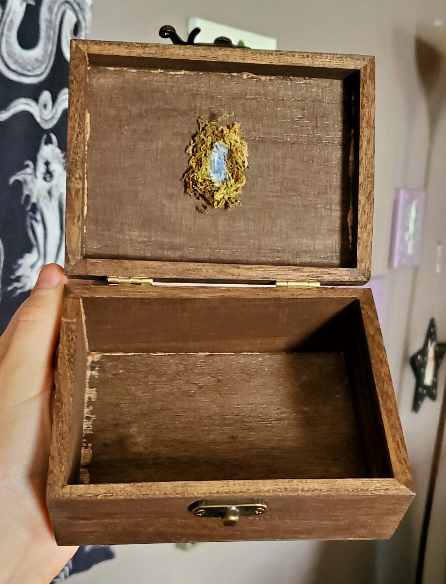 Luna Moth Hidden Gem Box