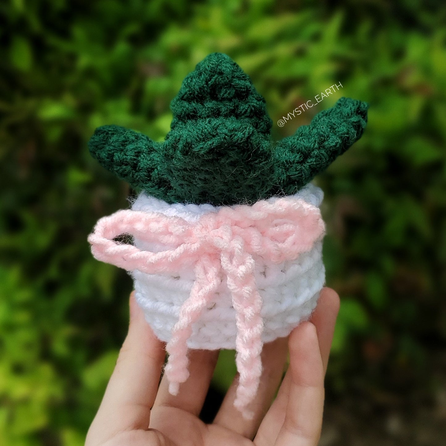 Crochet Paddle Succulent