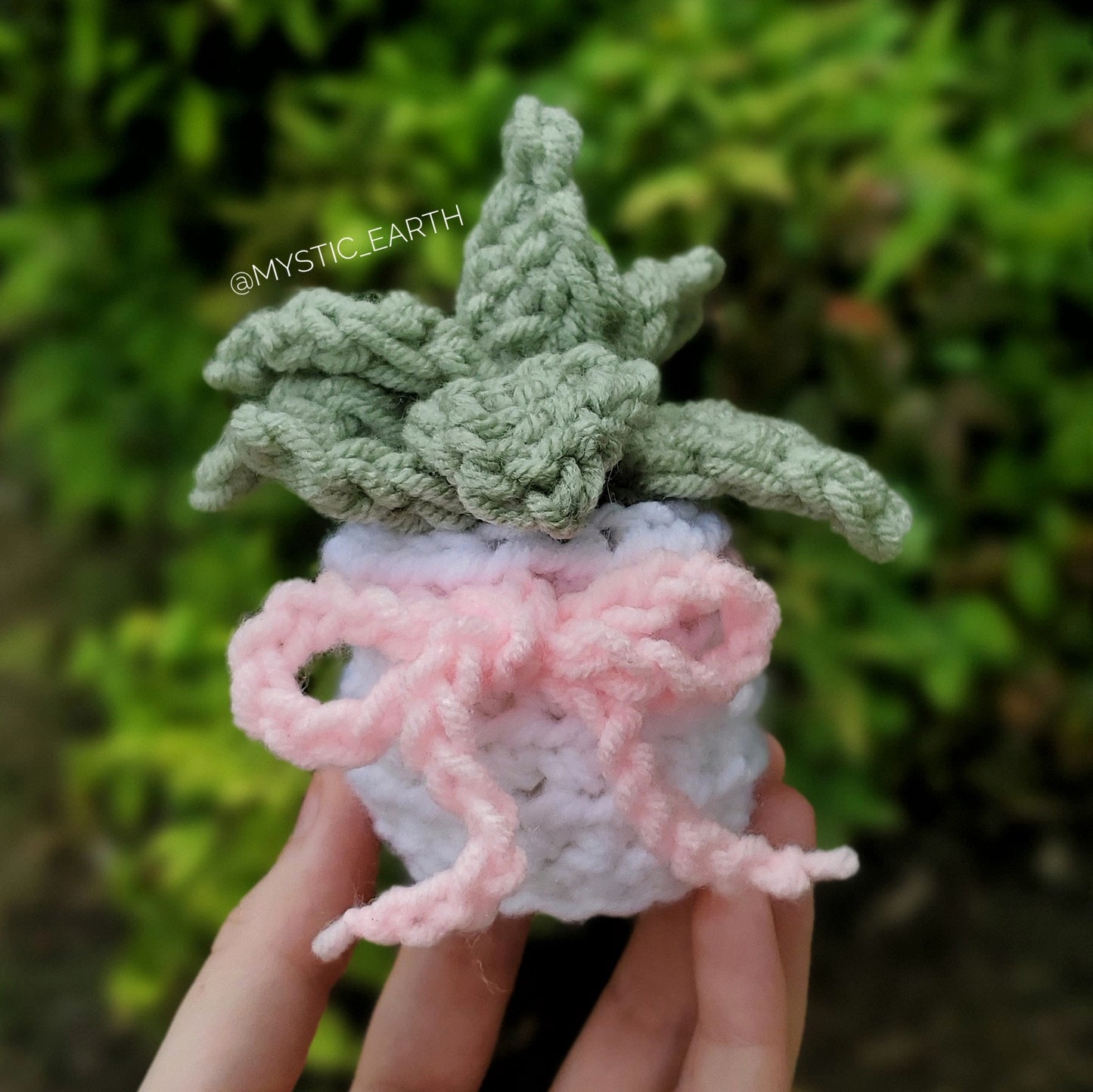 Crochet Echeveria Succulent