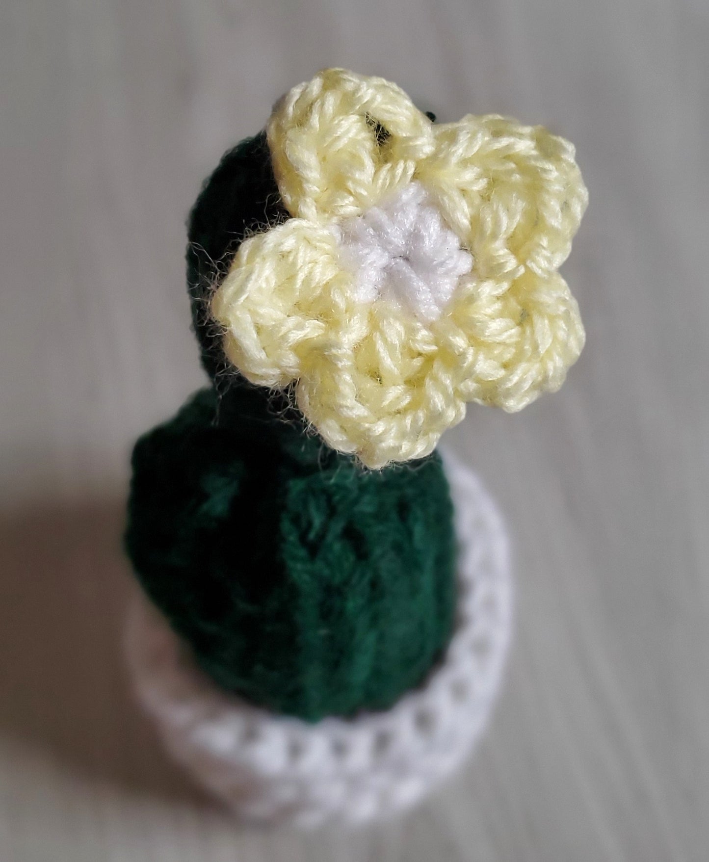 Crochet Barrel Cactus