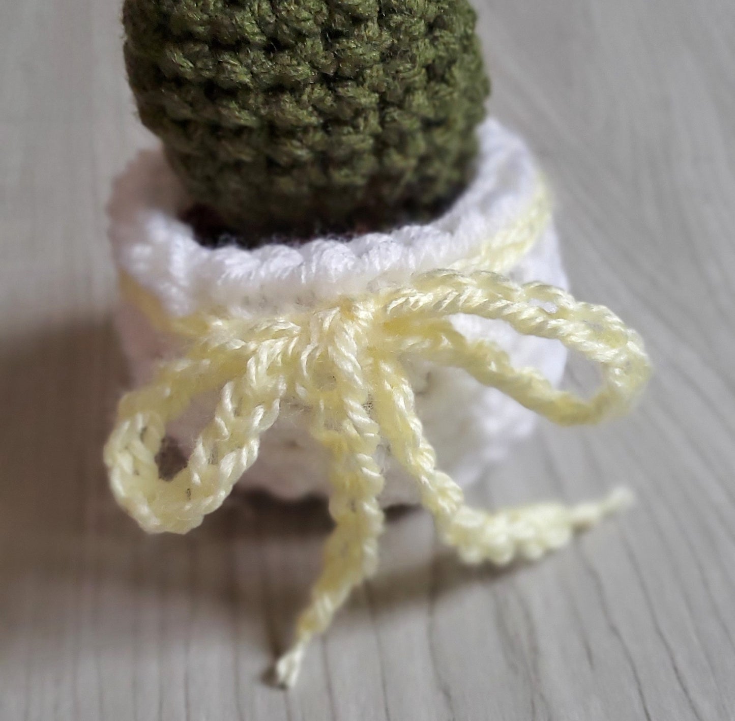 Crochet Prickly Pear Cactus
