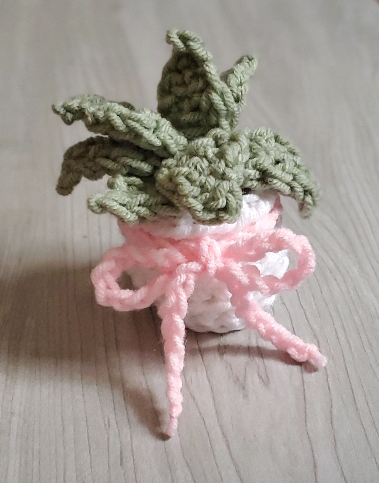 Crochet Echeveria Succulent