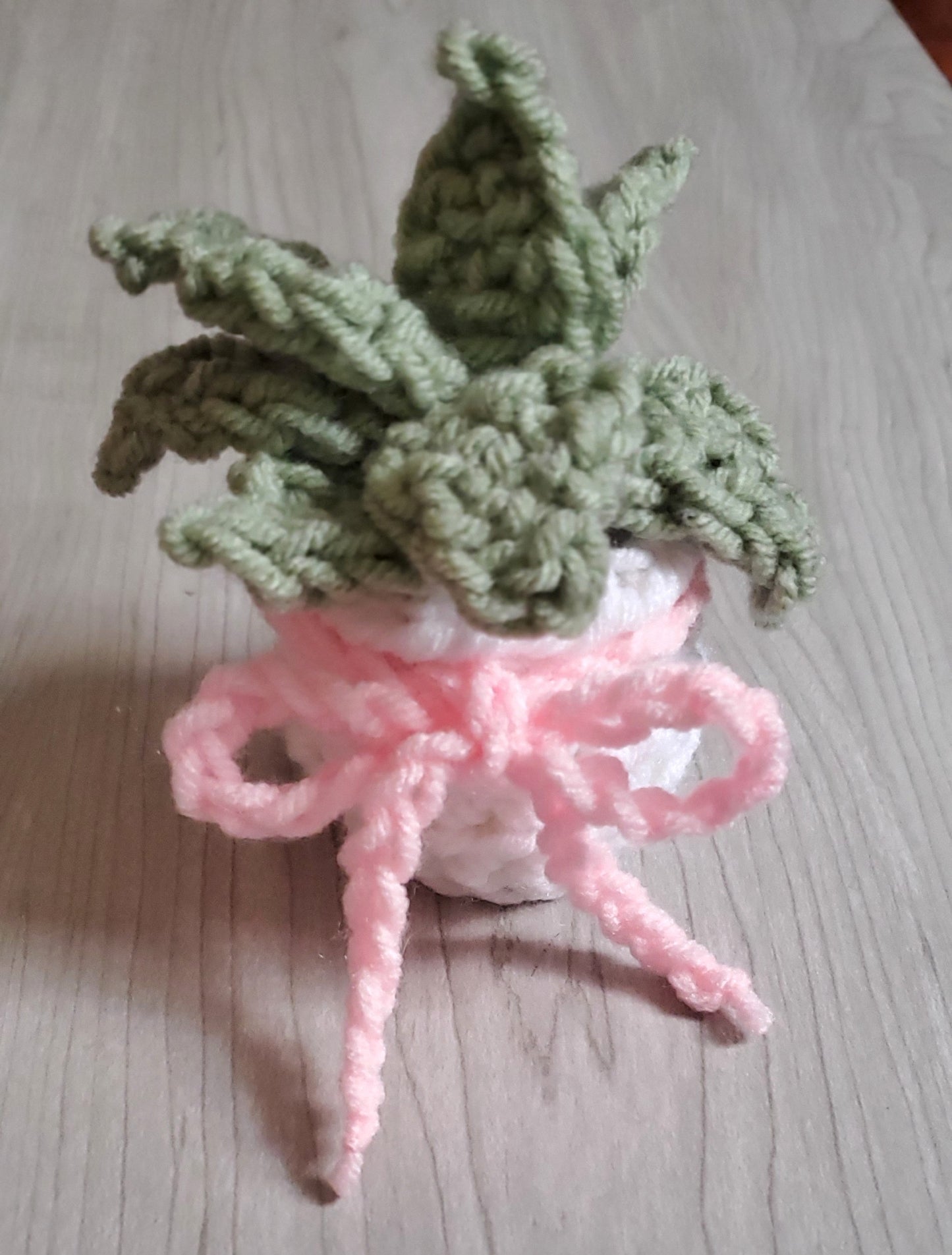 Crochet Echeveria Succulent