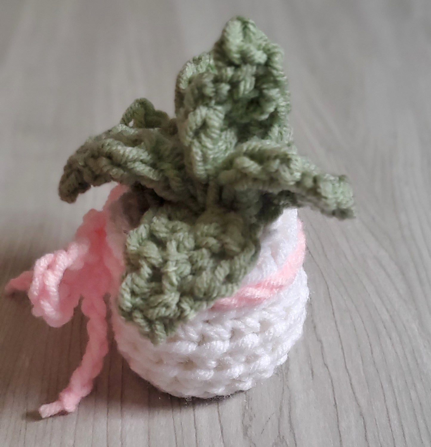 Crochet Echeveria Succulent