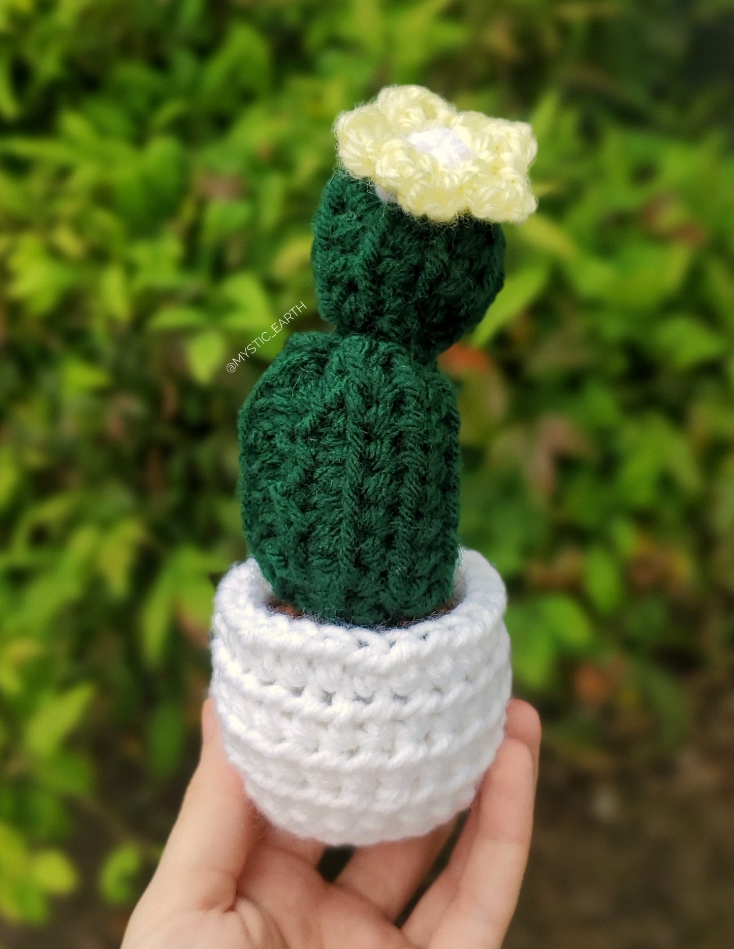 Crochet Barrel Cactus