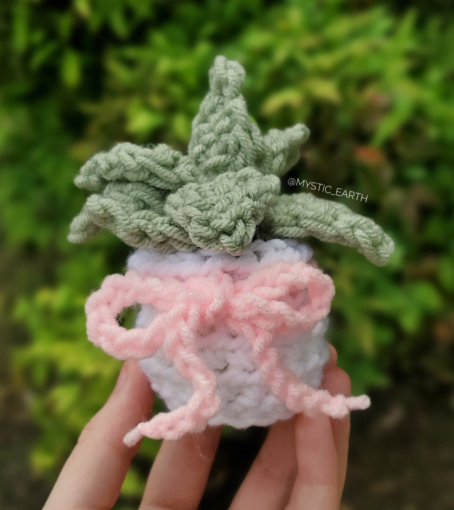 Crochet Echeveria Succulent