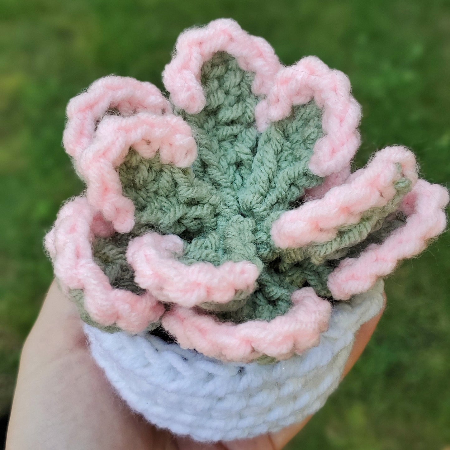 Crochet Tippy Echeveria Succulent
