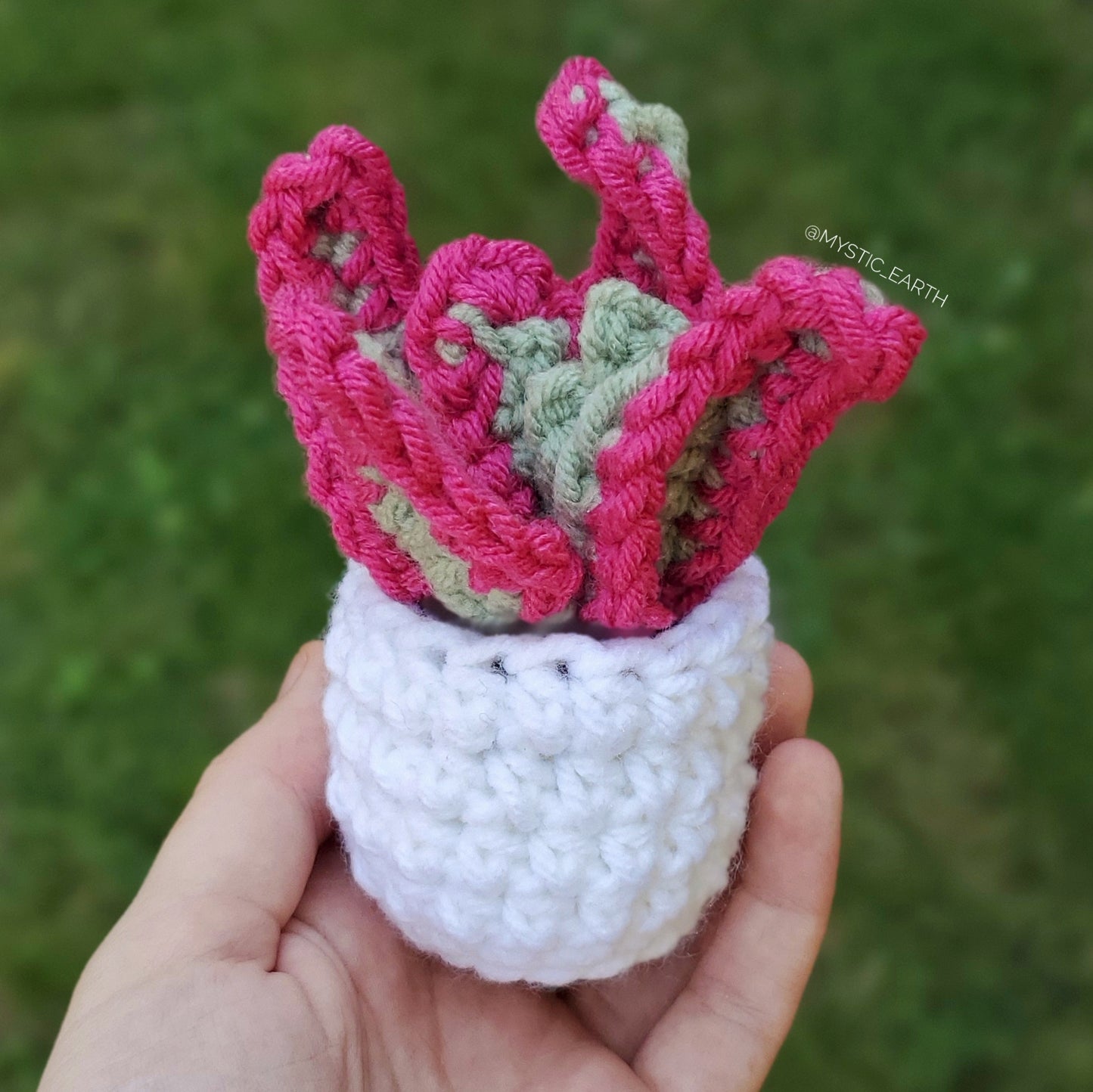 Crochet Pink Tip Aloe