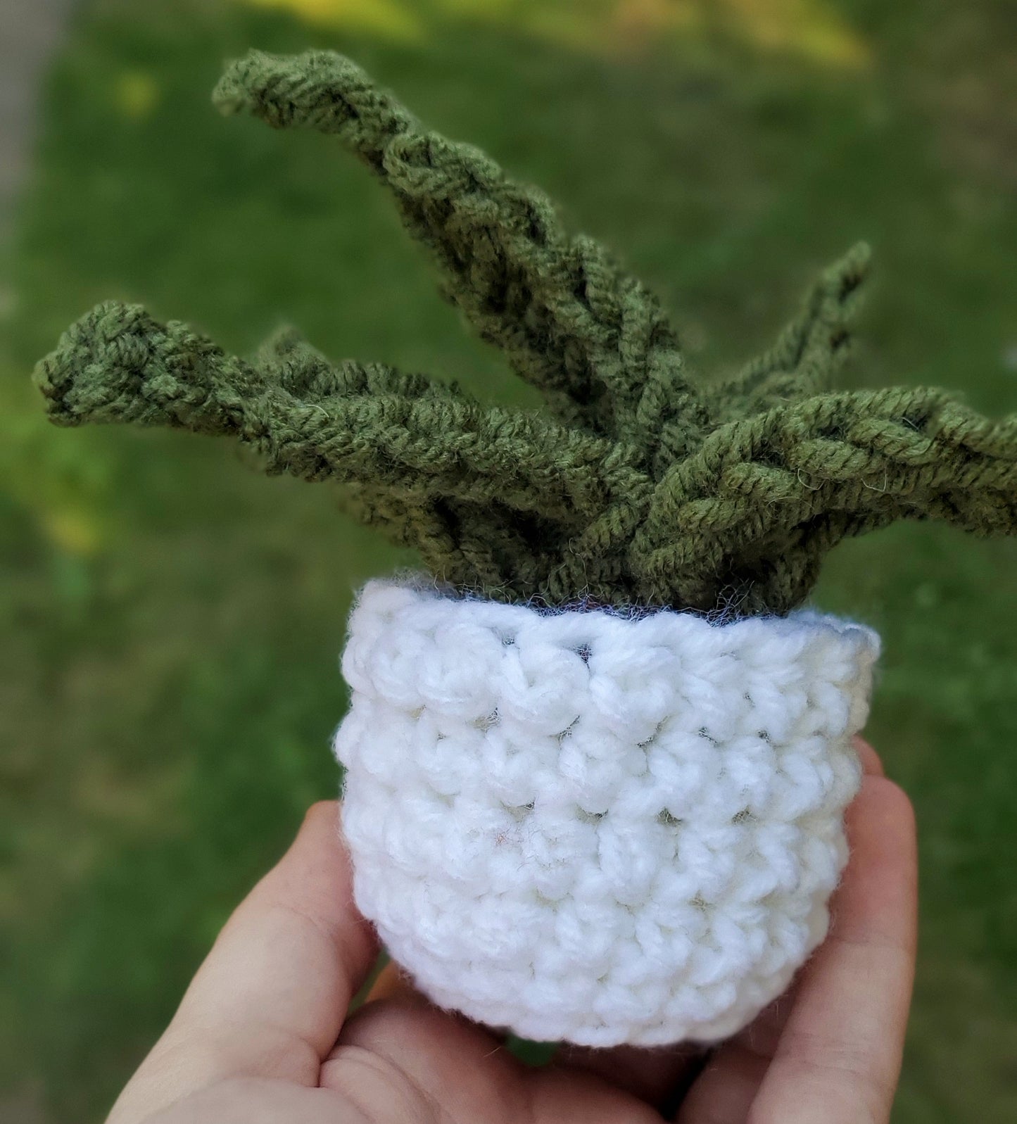 Crochet Aloe Vera