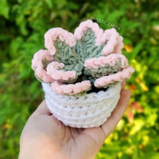 Crochet Tippy Echeveria Succulent