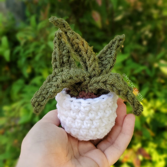 Crochet Aloe Vera