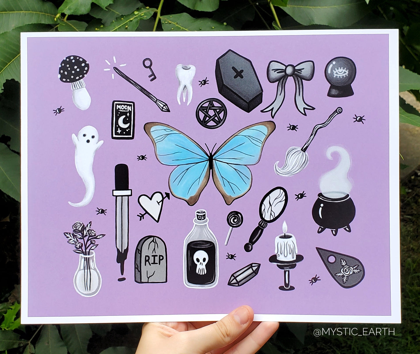 Pearl Morpho Butterfly Prints