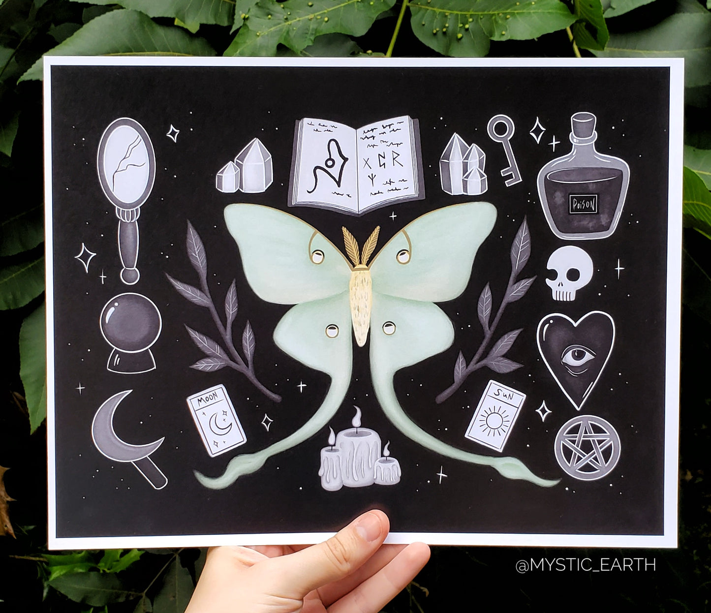 Luna Moth Prints