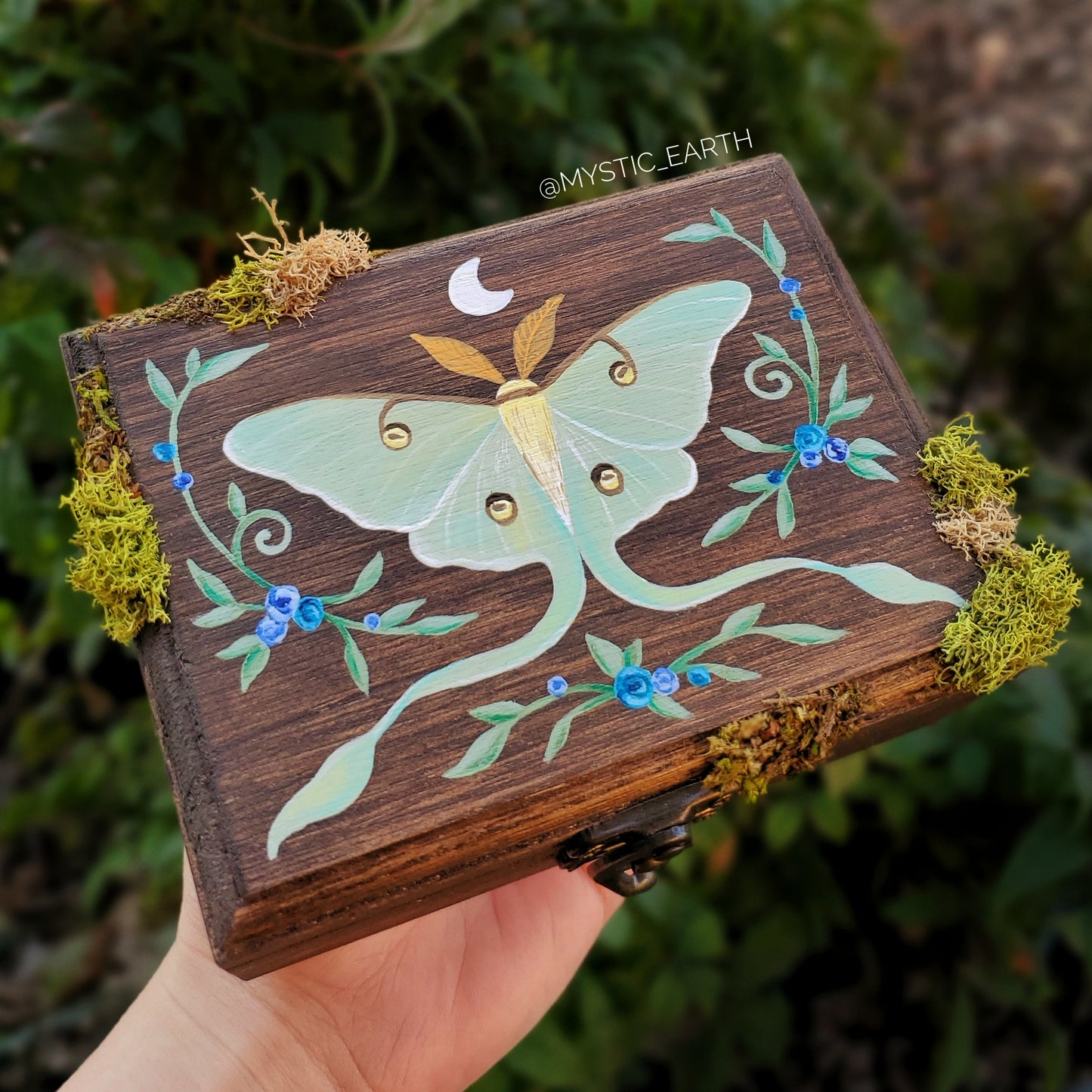 Luna Moth Hidden Gem Box