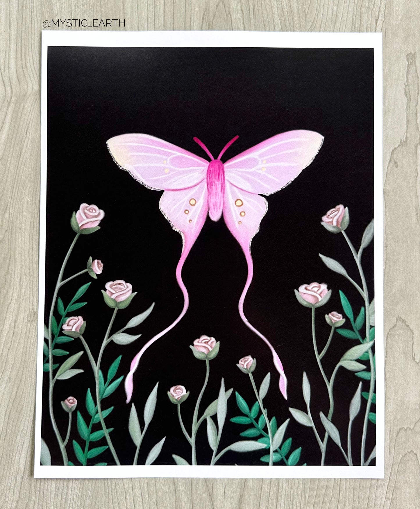 Pink Silk Moth Prints