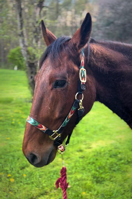 Custom Pet Portraits for Diana