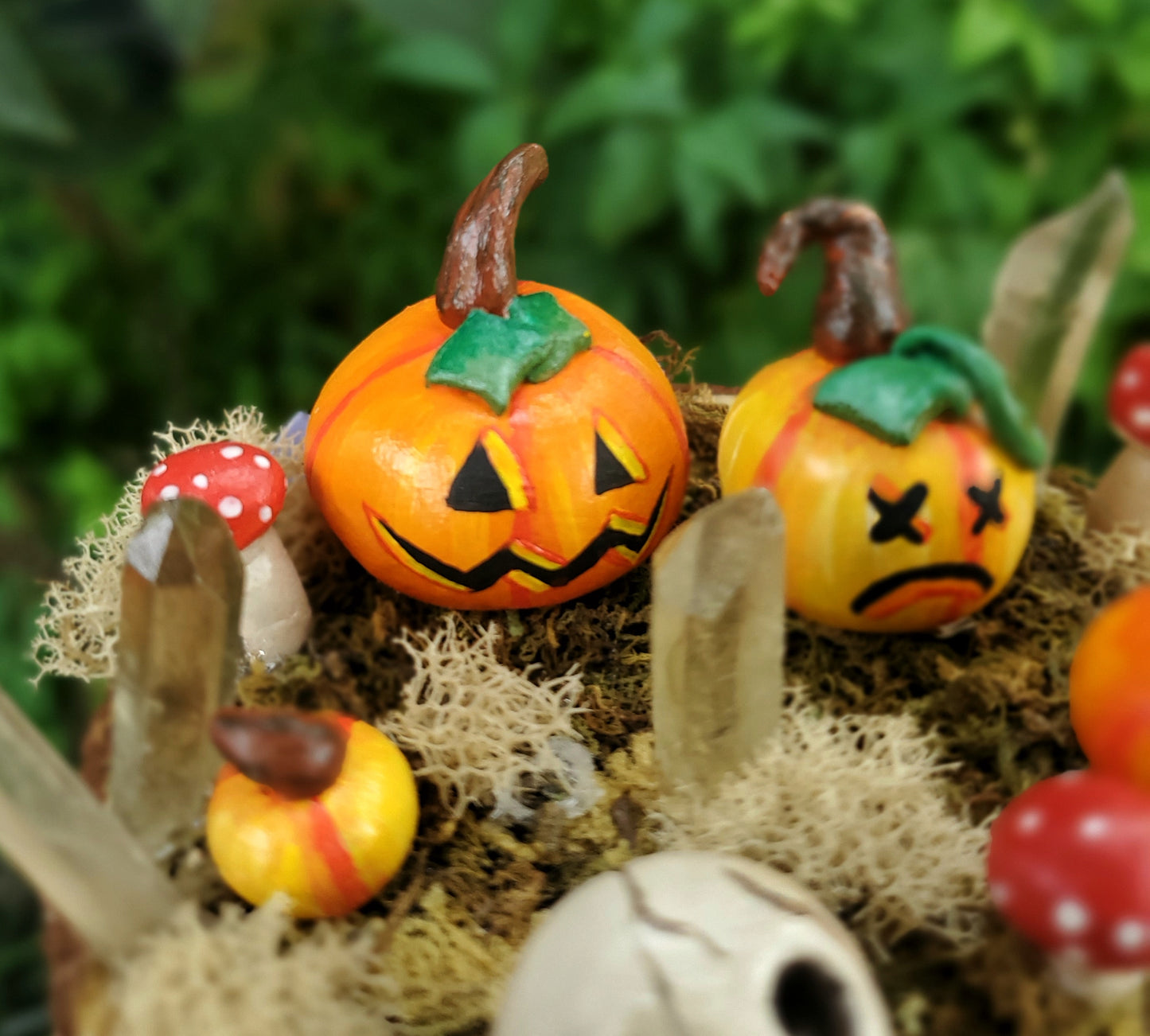 Skull Mushroom & Pumpkin Garden