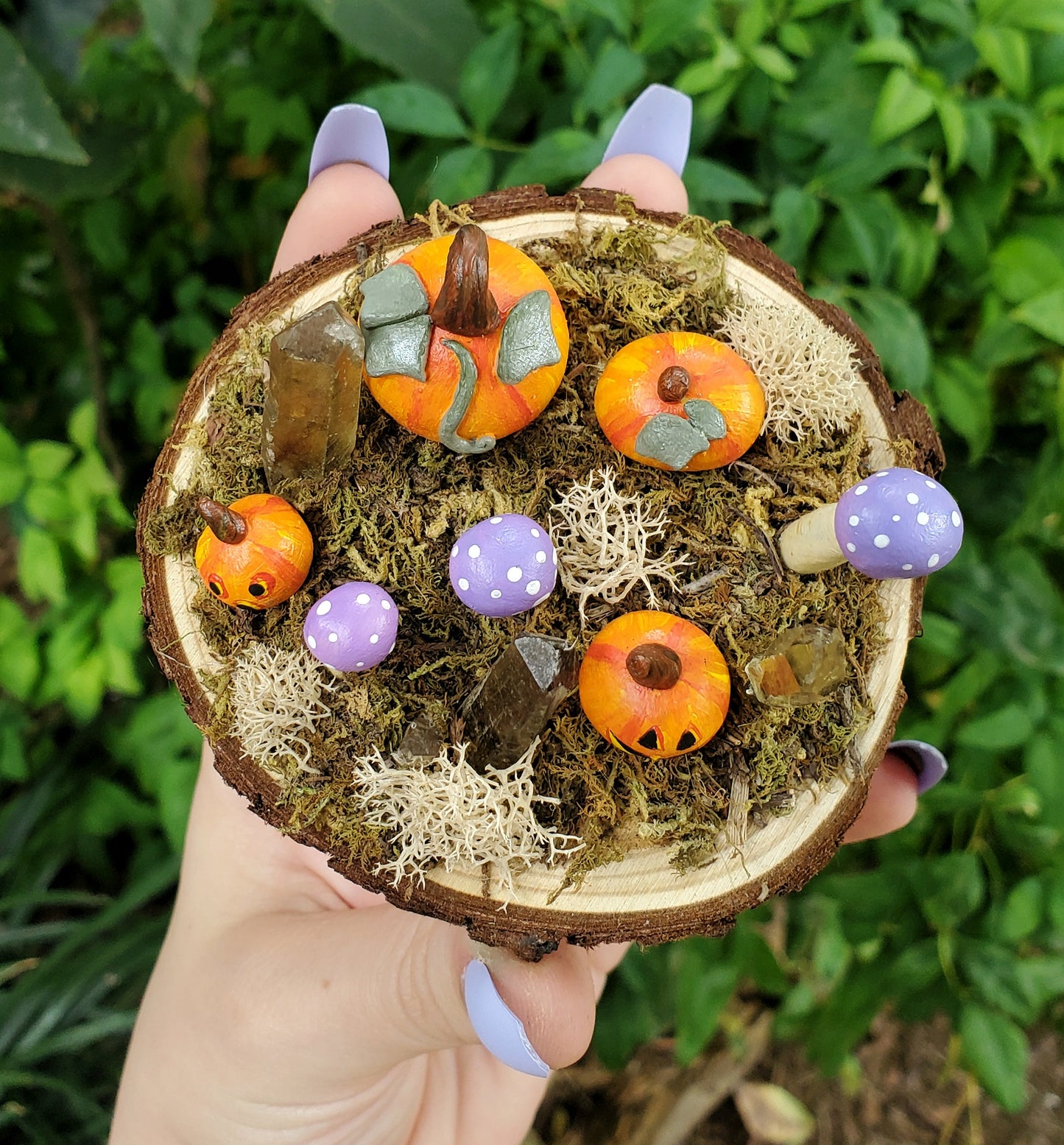Purple Mushroom & Pumpkin Garden