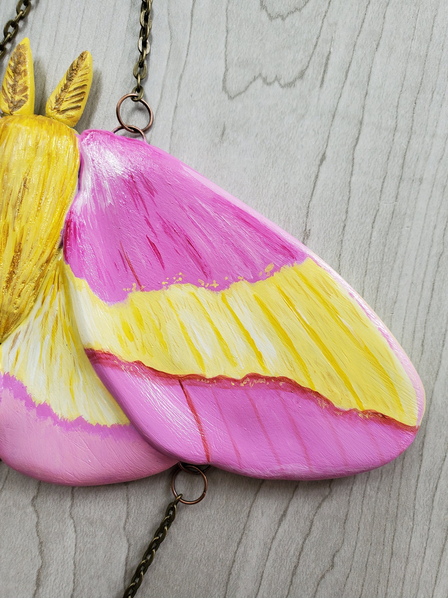 Rosy Maple Moth Wall Hangings