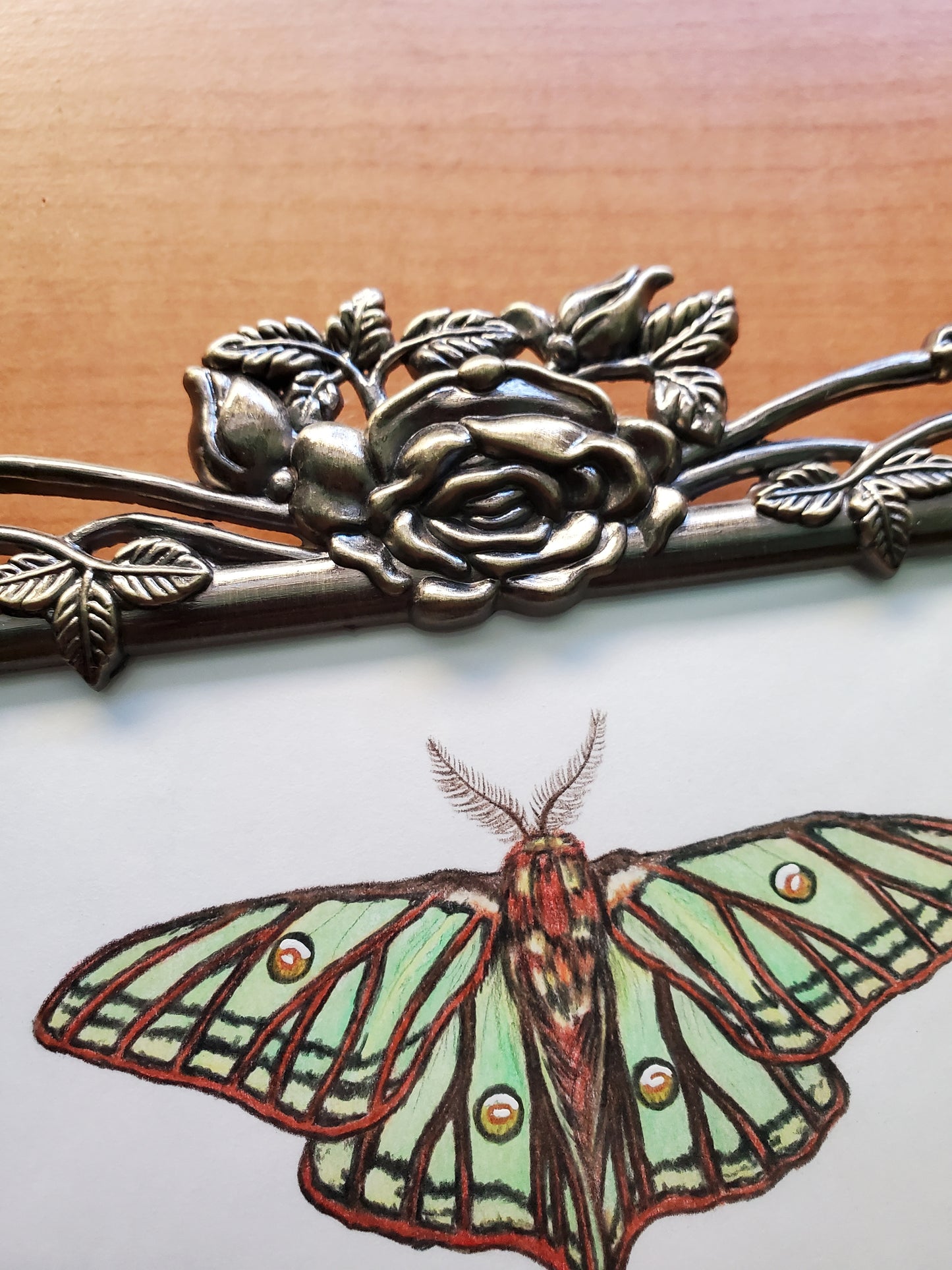 Moon Moths Drawing in Vintage Rose Frame