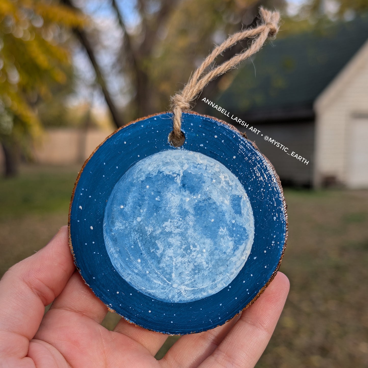 Winter Wonderland 4pc Tree Ornament or Wall Art Set