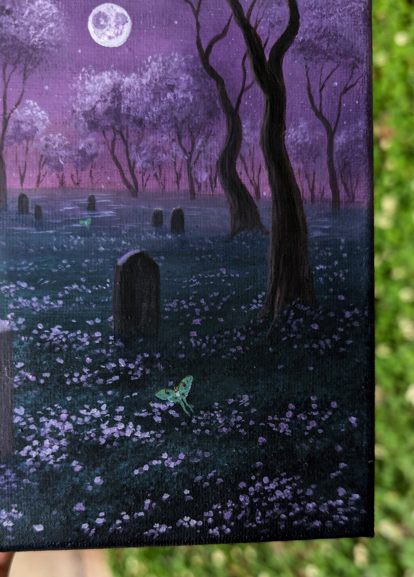 Moon Moth Cemetery 8"x8" Painting