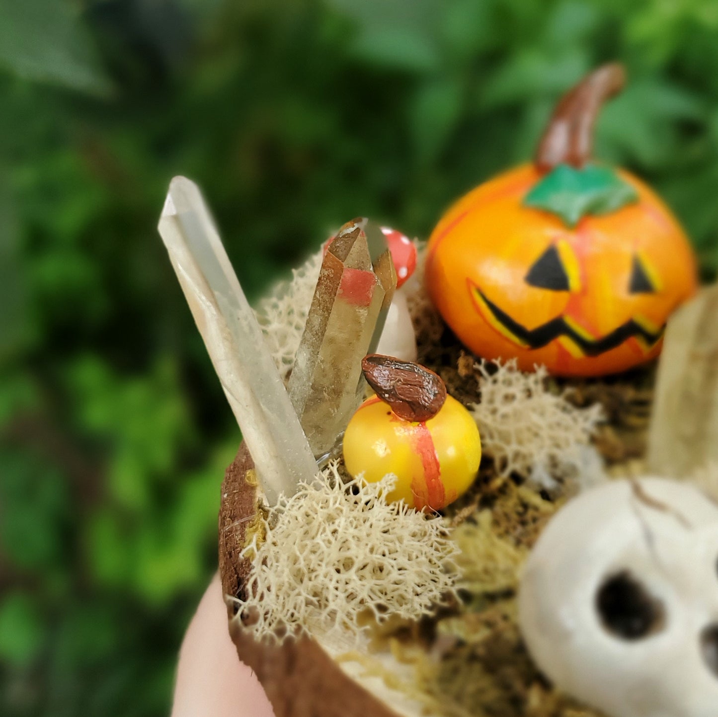 Skull Mushroom & Pumpkin Garden