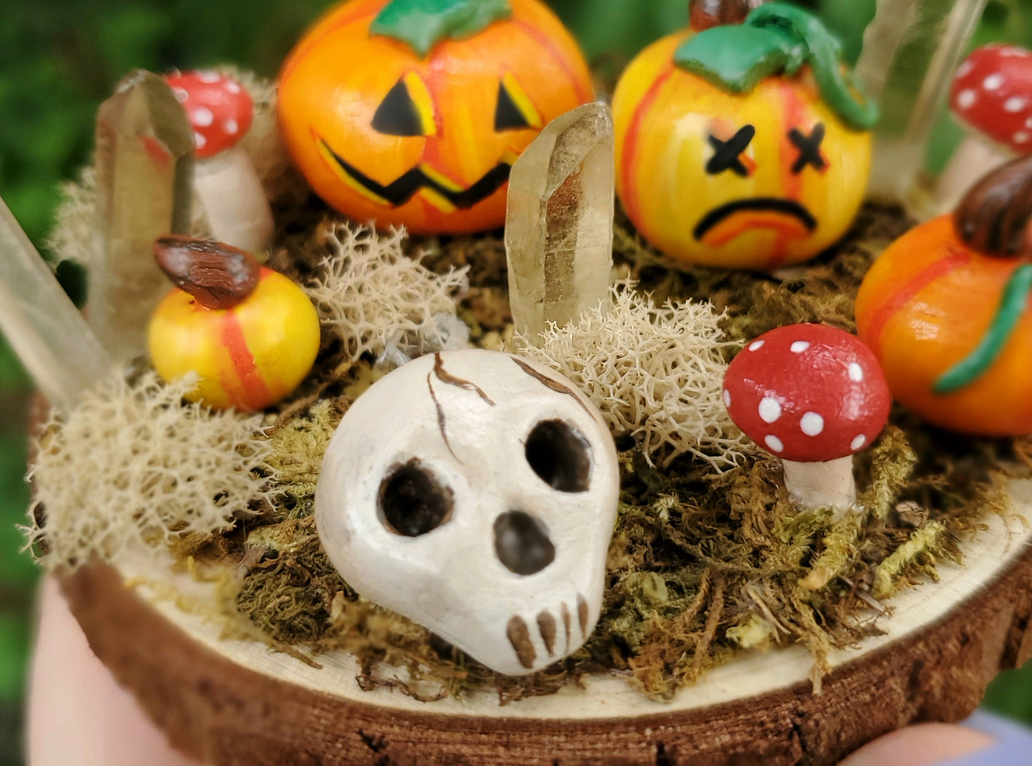 Skull Mushroom & Pumpkin Garden