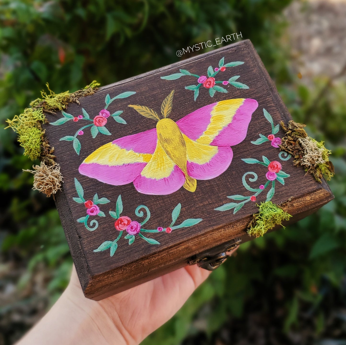 Rosy Maple Moth Hidden Gem Box