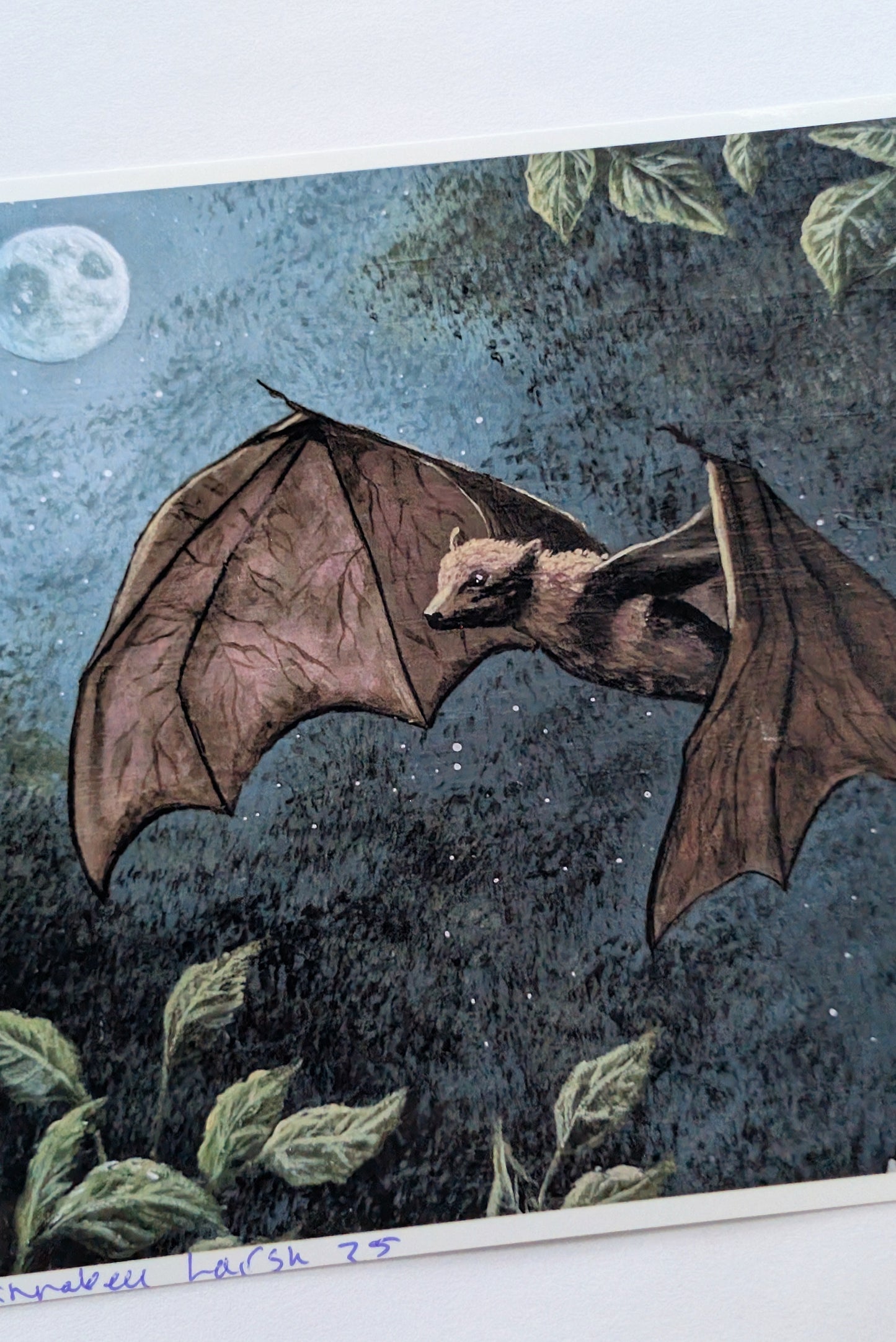 Nocturnal 5"x5" Prints
