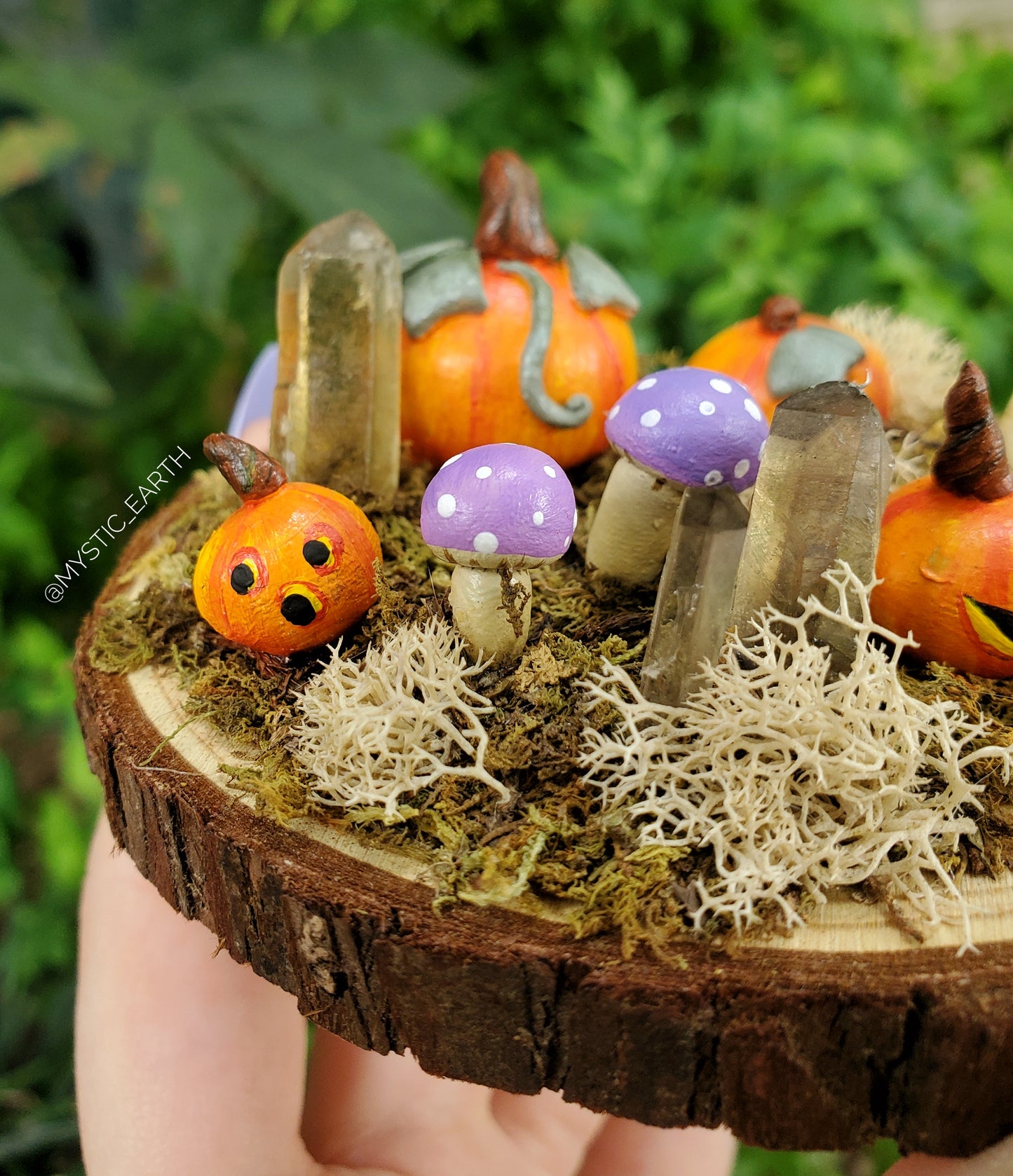Purple Mushroom & Pumpkin Garden
