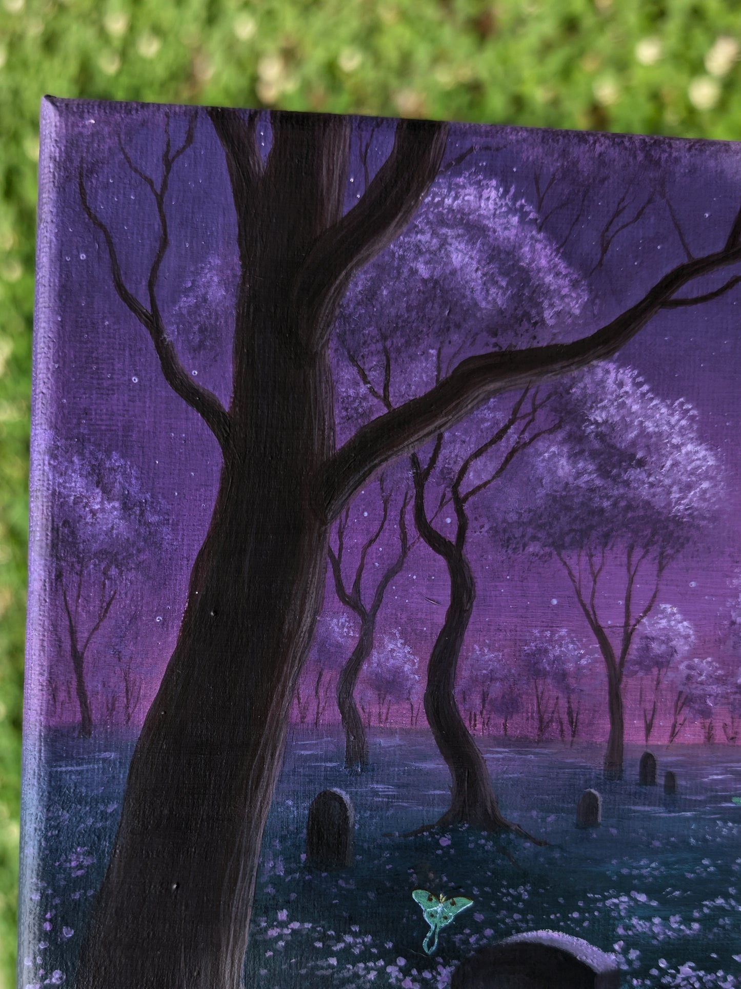 Moon Moth Cemetery 8"x8" Painting