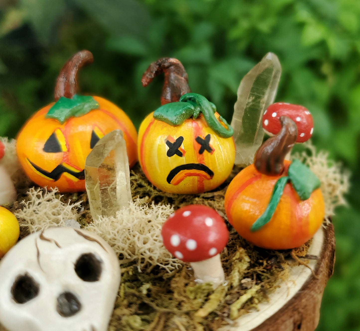 Skull Mushroom & Pumpkin Garden