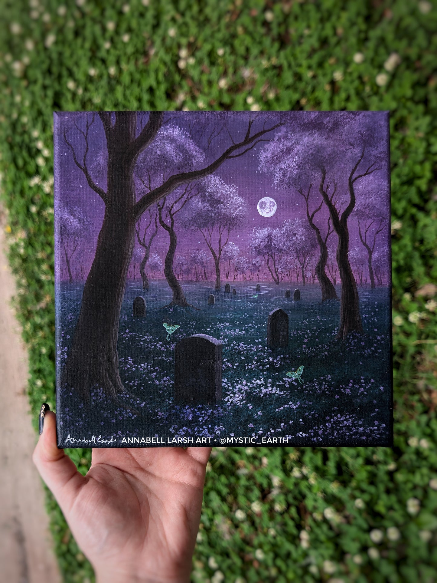 Moon Moth Cemetery 8"x8" Painting