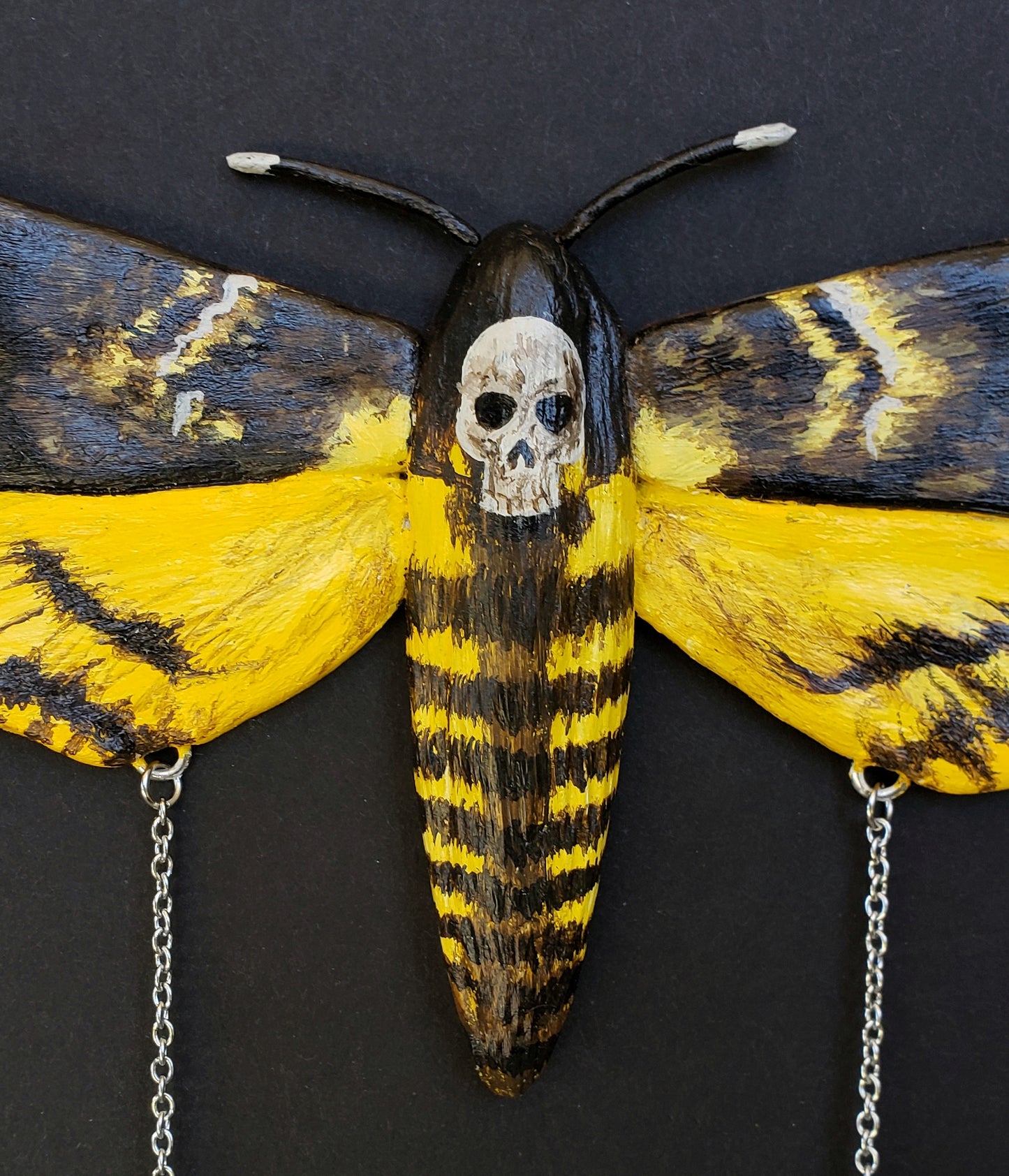 Deaths Head Hawk Moth Wall Hanging