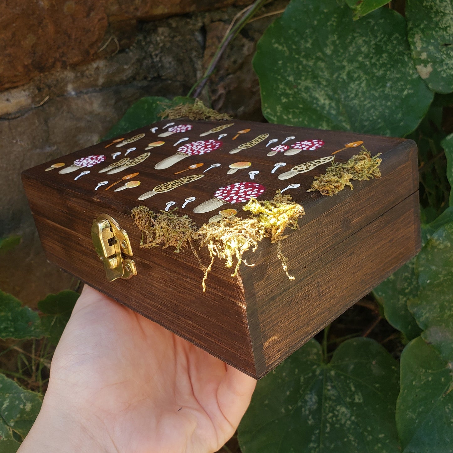 Amanita Mushroom Hidden Gem Box